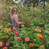 thelittleflowerpatch