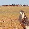 userb80q9adlpi