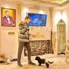 kareem0597777007