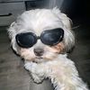 asher_gottem