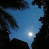 mdanowarhossan5714