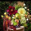 discotheque__floral