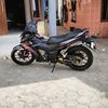 tellor_buccok