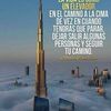 user8667645153989