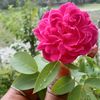 md.shuvo.muhammad