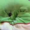 gummy_the_turtle_frog