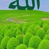 user6312753297905