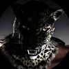 its_ray92