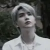 shibal_yms