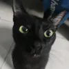 gaminghiro618