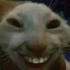 heheheheheehhehhhe
