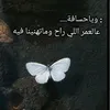 user41bnfssc2c