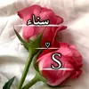 ss.ss5616