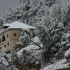 genevieve.haddad