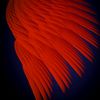 .redwing