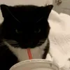 nickeditsthings