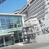 nicoladellavolp52