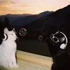 muanyacat