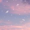 syri_ane