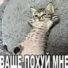 l__cool