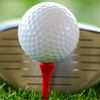 thetopgolferworld