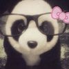 pac_urbag