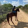pietro.vtr