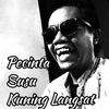 Bg. Ipul Lombok