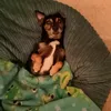 userr_8439
