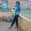 rosebellooi