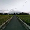 userlxfcnxl9lw