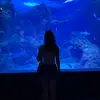 nika.bayne