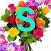 user2tx95wk7d2