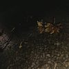 william.ex_