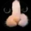 coolpidaraz