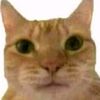 christian_1_0