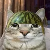 passfornitetinine