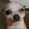 ramonsanchez10