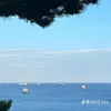mianh_999