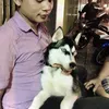 hoangnho79