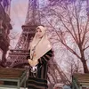 delianti113