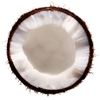 uzerr.cocoo