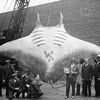 Deep Sea Productions