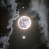 all_moonlight