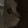 lianberendez14