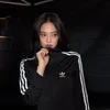 cndyywp