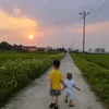 hoai.nguyen2662