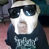 www.tiktok.comkirill_75