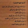 fadhila.foudi
