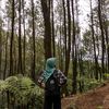 .syifa843